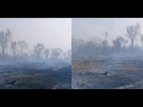 SE REGISTRAN INCENDIOS FORESTALES EN VARIOS DISTRITOS DE ITAPÚA