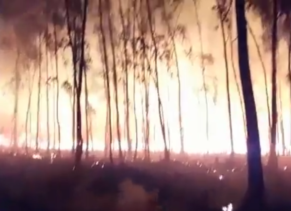 Siguen los incendios forestales