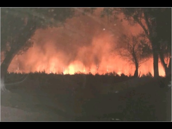 INCENDIOS GENERAN INVASIÓN DE MOSCAS Y CONJUNTIVITIS