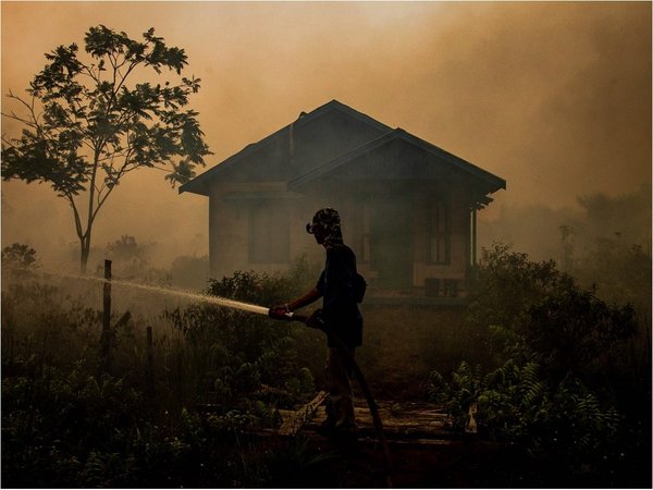 California presenta gel que ayudará a prevenir incendios forestales