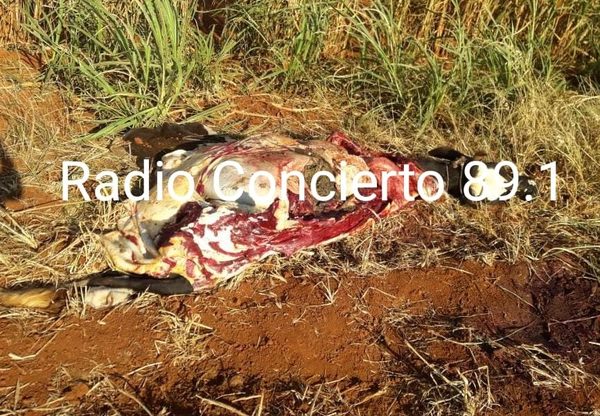 Cuatreros acechan en Santa Rosa del Monday