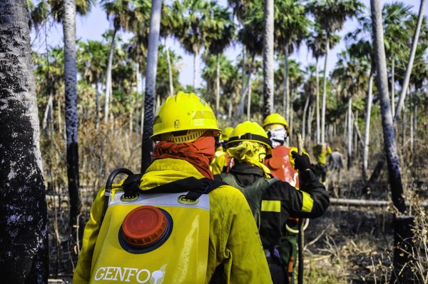 Estados Unidos donará equipos de protección para combatir fuego en el Chaco | .::Agencia IP::.