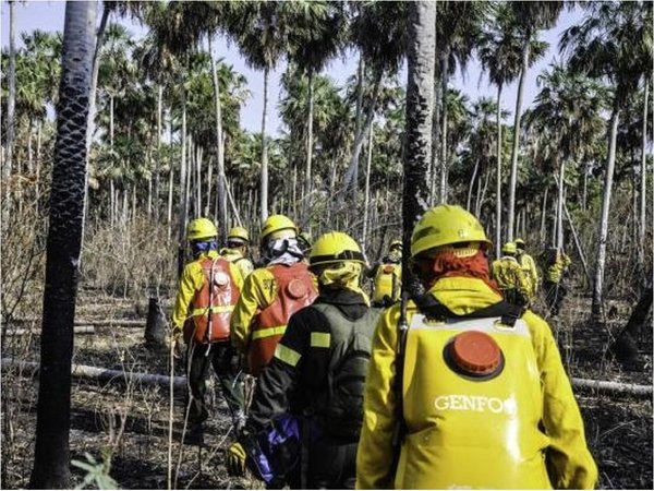 Más de 300.000 hectáreas ya fueron consumidas por el fuego en el Chaco