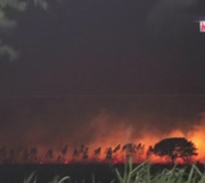 Incendio de gran magnitud consume varias hectáreas en Ypacaraí - Paraguay.com