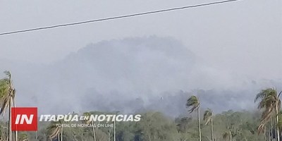 AHORA: NUEVO INCENDIO DE GRAN MAGNITUD EN LA RESERVA SAN RAFAEL