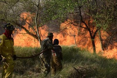 El fuego sigue incontrolable en el Parque Guasú - Nacionales - ABC Color
