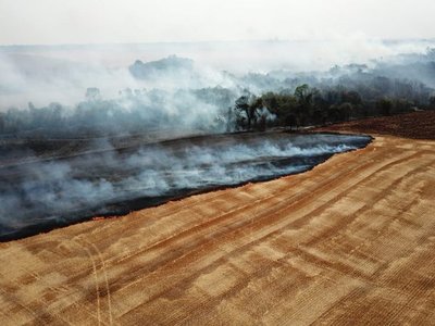 Incendios en Alto Paraná no dan tregua y bomberos piden ayuda
