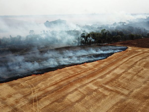Incendios en Alto Paraná no dan tregua y bomberos piden ayuda