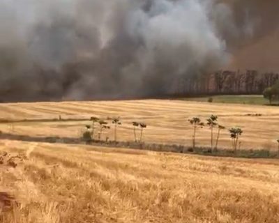 Se prendieron 100 hectáreas en San Alberto