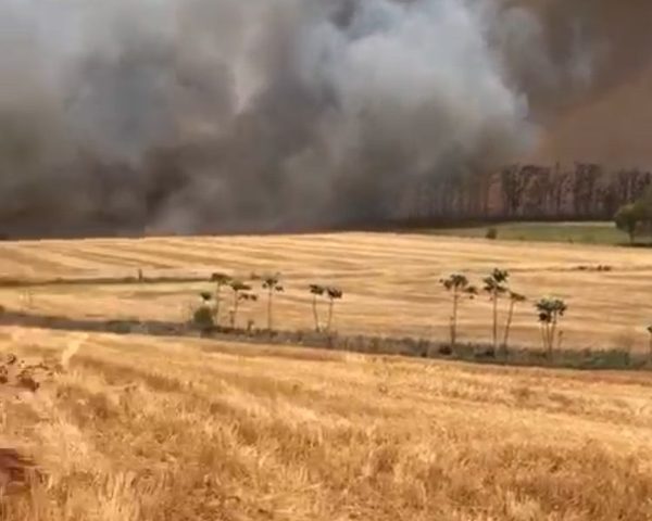 Se prendieron 100 hectáreas en San Alberto
