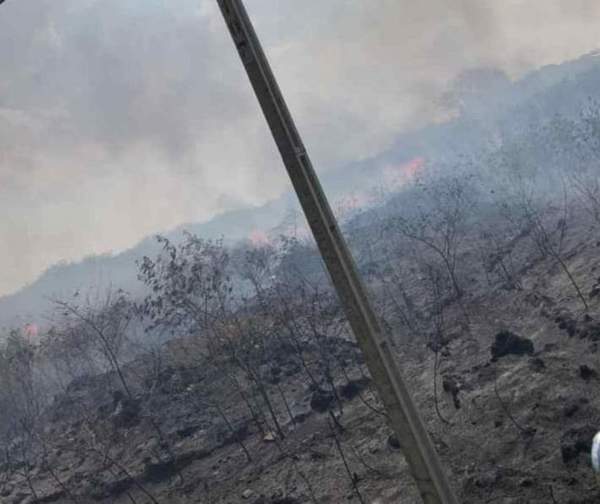 Fuego arrasa con el Parque Guasu