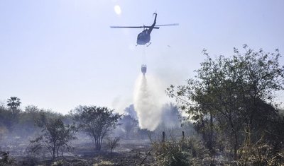 Se están utilizando todos los recursos para erradicar incendio en el Parque Guazú | .::Agencia IP::.