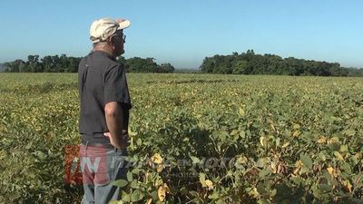 SEQUÍA RETRASÓ EL INICIO DE LA ZAFRA SOJERA