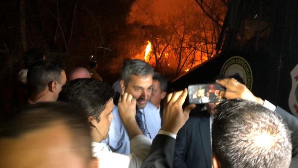 Abdo Benítez recorrió área arrasada en Parque Guazú