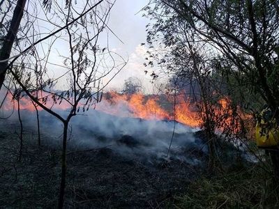 Incendios en Asunción, San Ber, Patiño, Abaí y Paraguarí •