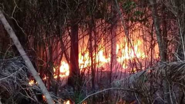 Controlan incendio en el Cerro Patiño - Nacionales - ABC Color