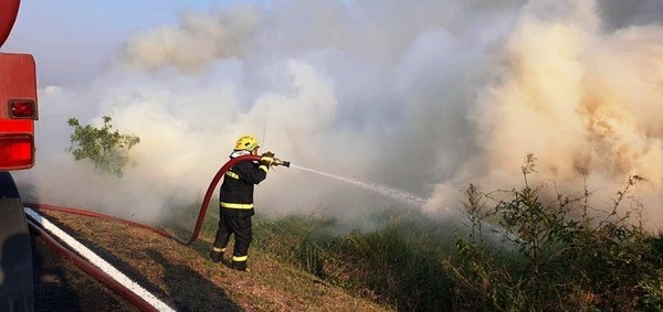 Luego de ocho horas, controlaron incendios en Parque Guasu •