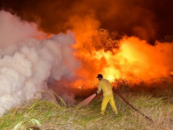 Parque Guasu: Montarán guardia a pesar de haber controlado incendio