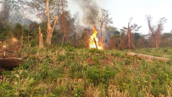 Diferentes focos de incendio se registraron en Paraguarí - Nacionales - ABC Color