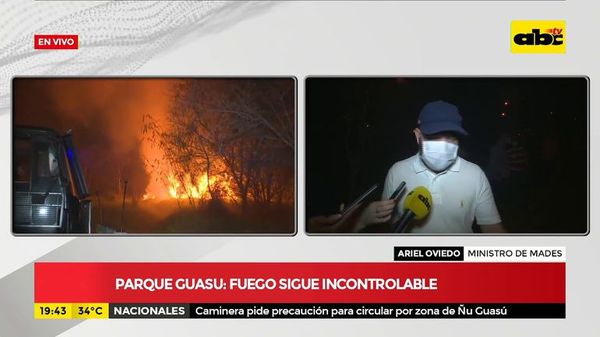 Incendio en el Parque Guasú: Ministro del Mades, Ariel Oviedo - ABC Noticias - ABC Color