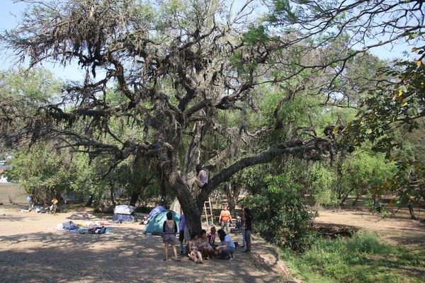 Viaducto sobre el Botánico invita a discutir el progreso