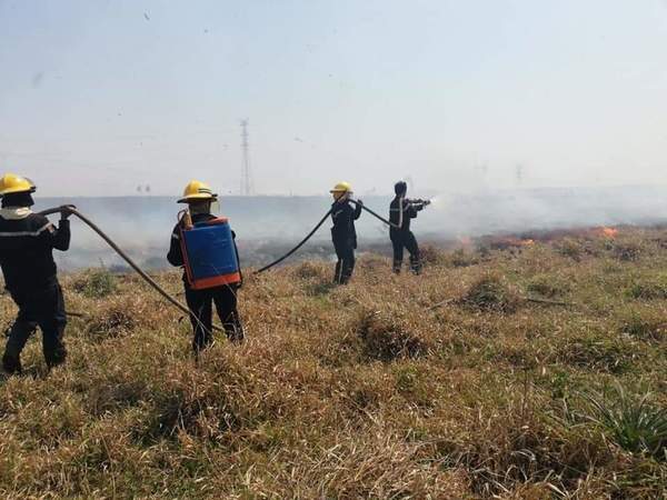 Incesante lucha de bomberos para controlar incendios en Misiones - Digital Misiones