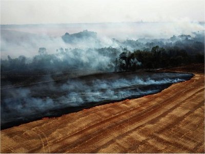 Arde Paraguay:  Fuego arrasa  a su paso