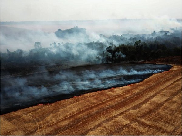 Arde Paraguay: Fuego arrasa a su paso