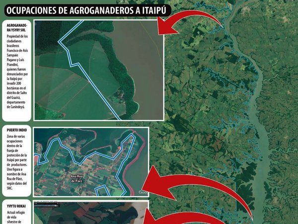 Itaipú minimiza las plantaciones de soja que hay en áreas protegidas