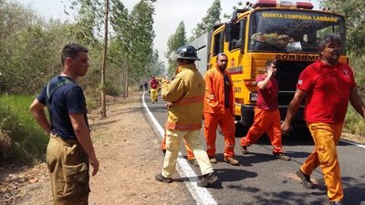 Se están utilizando todos los recursos para erradicar incendio en el Parque Guasú | .::Agencia IP::.
