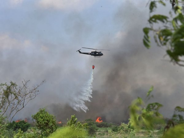 Incendio afectó a cerca de 30 ha. del Parque Guasu