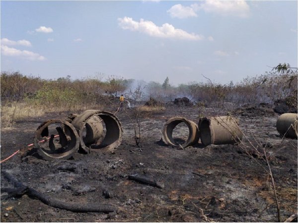 Wiens sobre incendio en Parque Guasu: "Es demasiado el daño causado"