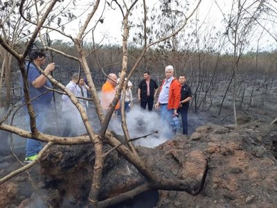 Unas 30 hectáreas del Parque Guasu fueron afectadas por el incendio