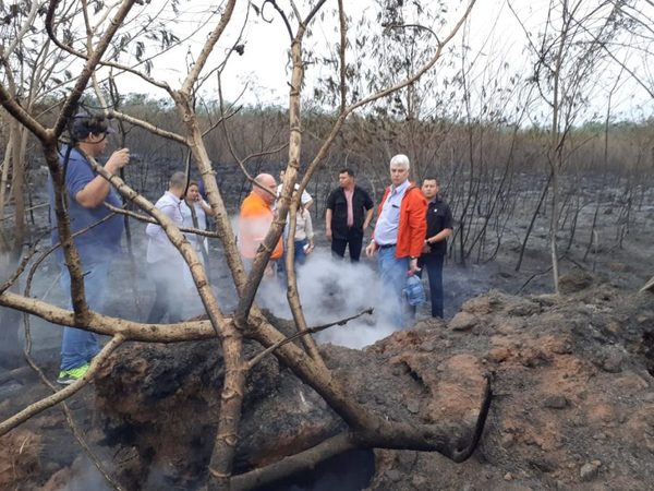 Unas 30 hectáreas del Parque Guasu fueron afectadas por el incendio