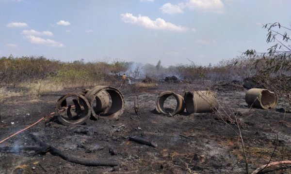Más de 30 hectáreas fueron quemadas en el Parque Guasu tras incendios