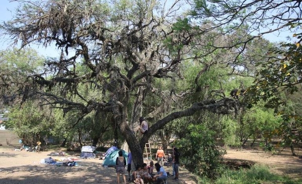 HOY / Viaducto sobre el Botánico invita a discutir el progreso