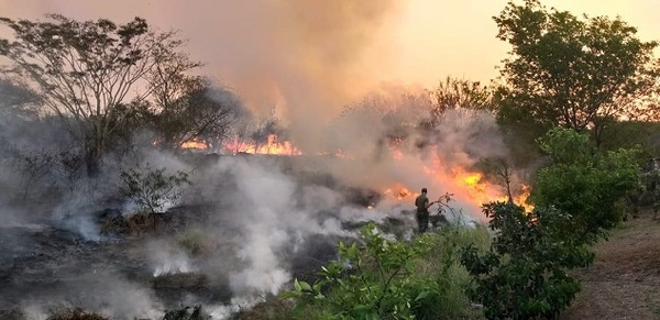 11 imágenes de la devastación en el Parque Guasu