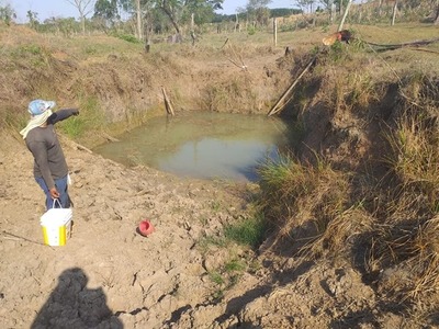 Productores piden ayuda para hacer frente a la sequía