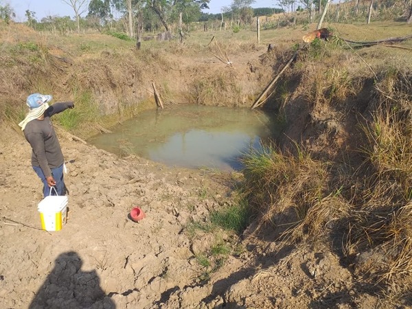 Productores piden ayuda para hacer frente a la sequía