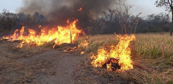 Diputados piden resarcimiento de Bolivia por incendios en el Chaco - Nacionales - ABC Color