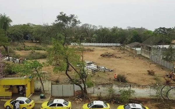 Sancionarán a quienes deforestaron predio para construir supermercado
