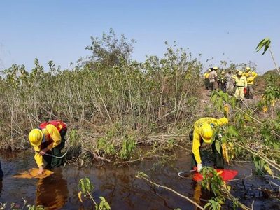 Ya no existen focos de incendios en el Chaco ni en el Parque Guasú, dice la SEN » Ñanduti