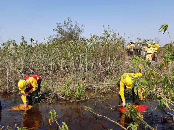 Ya no existen focos de incendios en el Chaco ni en el Parque Guasú, dice la SEN » Ñanduti