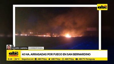 40 hectáreas arrasadas por el fuego en San Bernardino - ABC Noticias - ABC Color