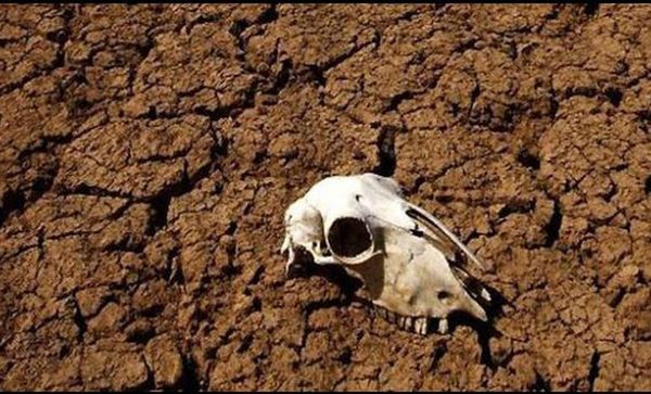 El mecanismo del planeta contra el exceso de carbono: extinciones masivas - Ciencia - ABC Color