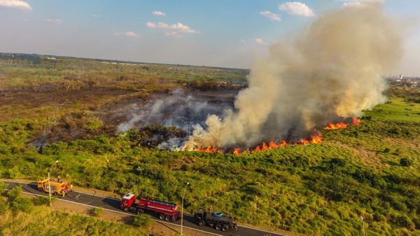 MADES presenta denuncia contra persona innominada por incendio en Parque Guasú » Ñanduti