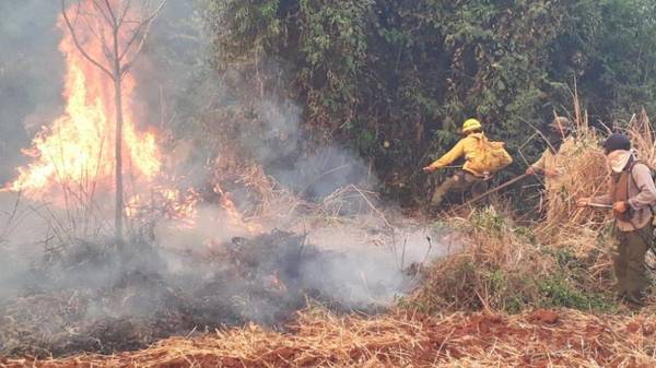 APOYO DE LA GOBERNACIÓN EN LA LUCHA CONTRA LOS INCENDIOS FORESTALES