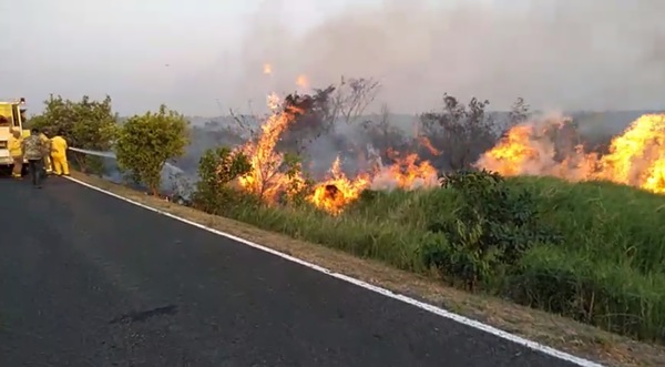 Incendio en Parque Guasu se originó por un 'desliz', según ministro