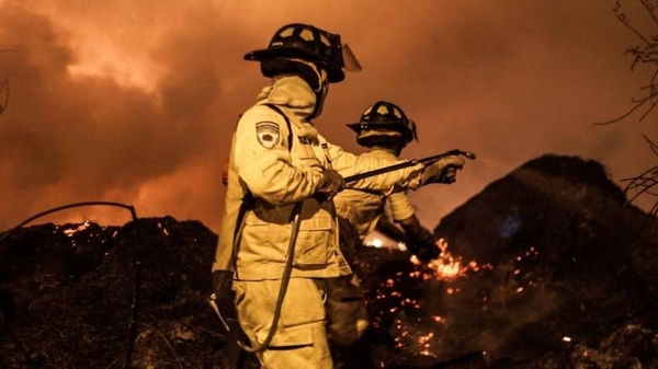 HOY / Alta sospecha que incendio de 30 hectáreas del Parque Guasú fue adrede: fiscal investiga