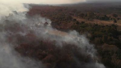 Lluvias ayudan a aplacar incendios forestales en Bolivia